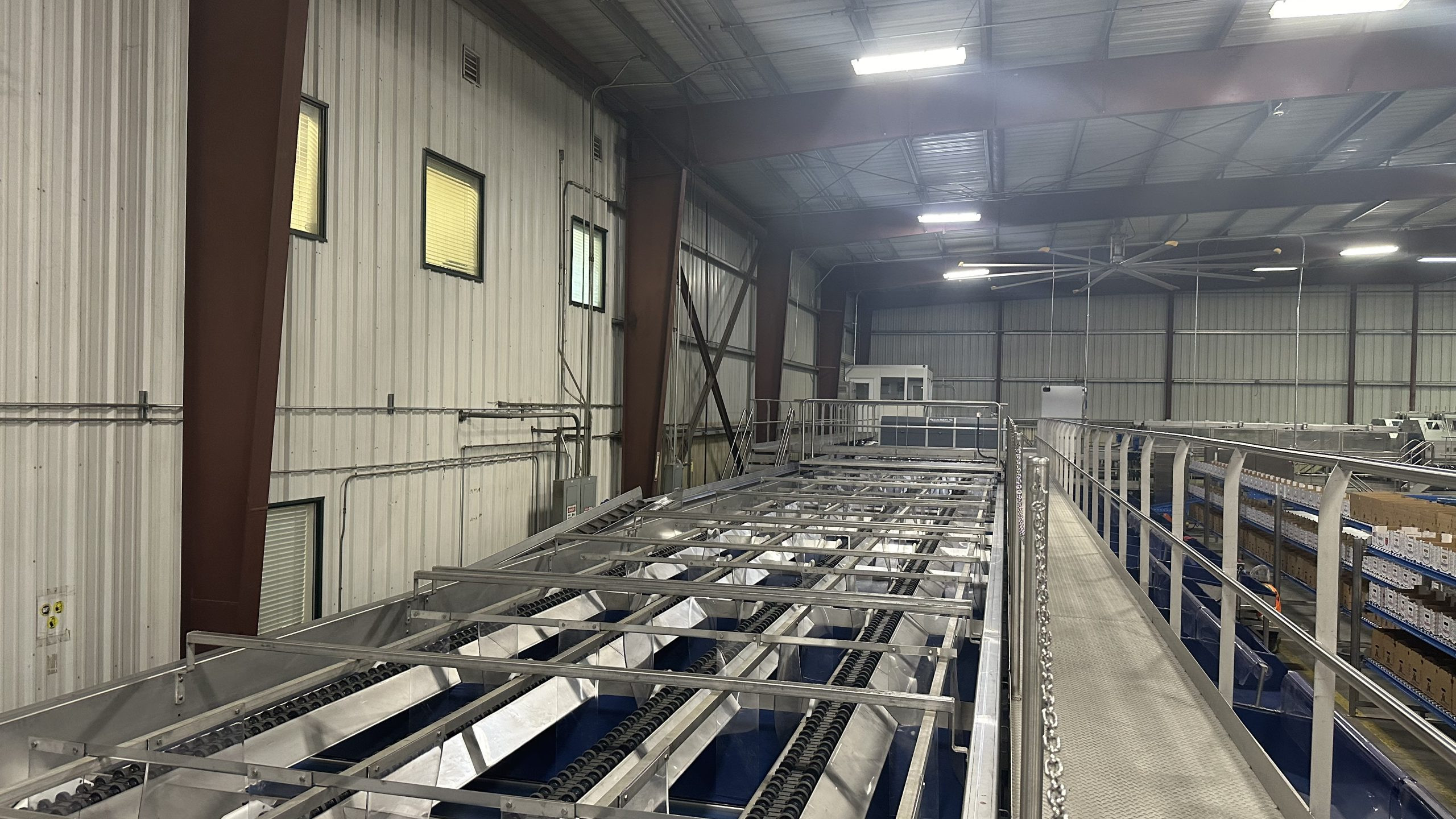 melon packing line in warehouse