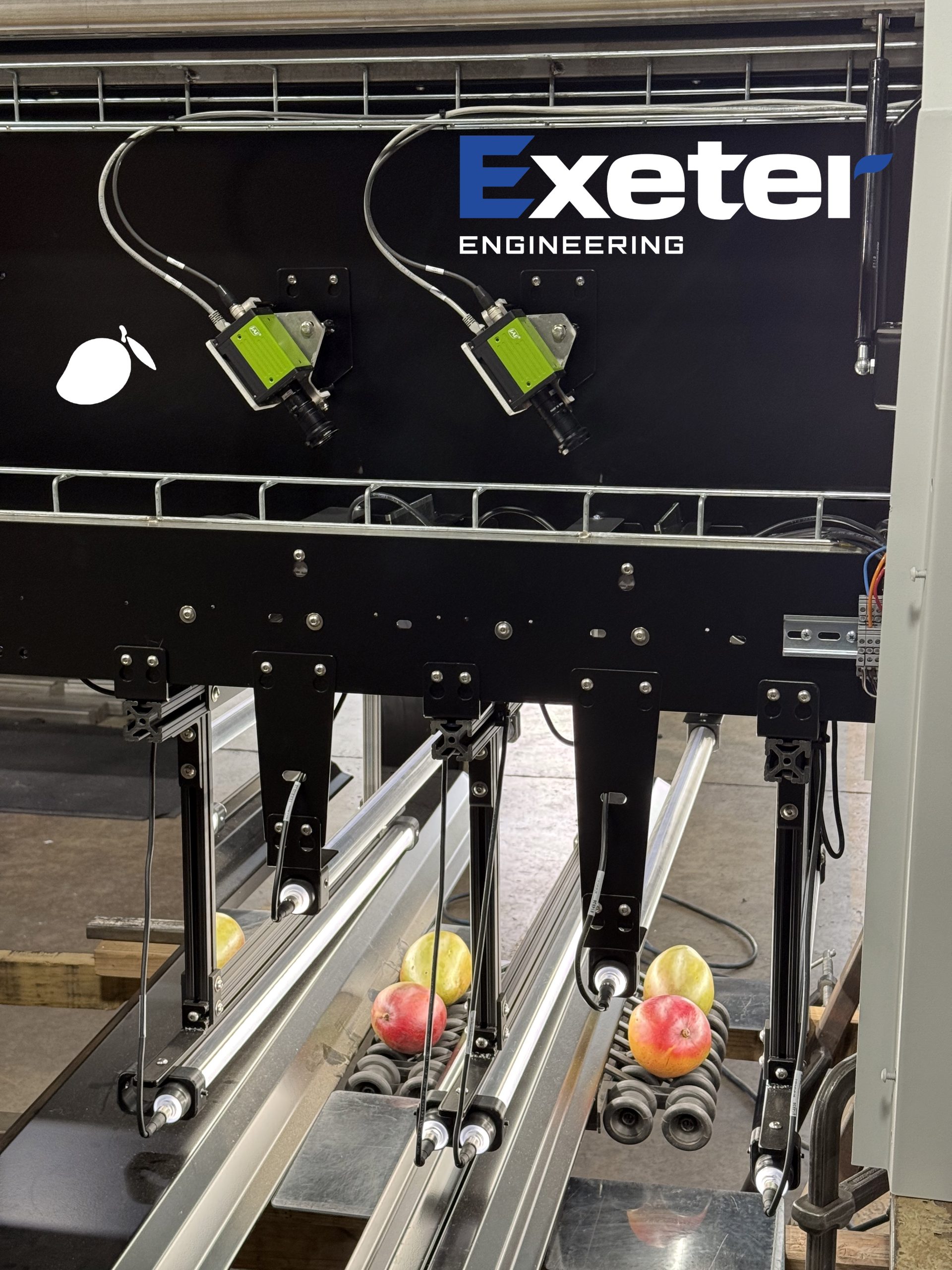 exeter_engineering_sidewinder_ai-powered_optical_sorter_mango