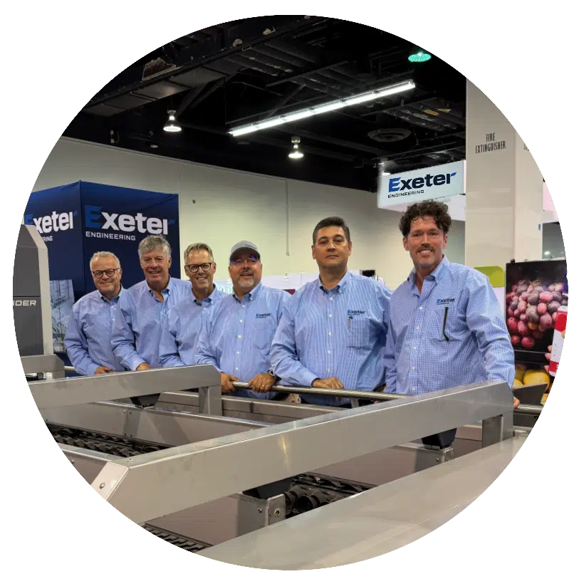 compact potato sorting machine