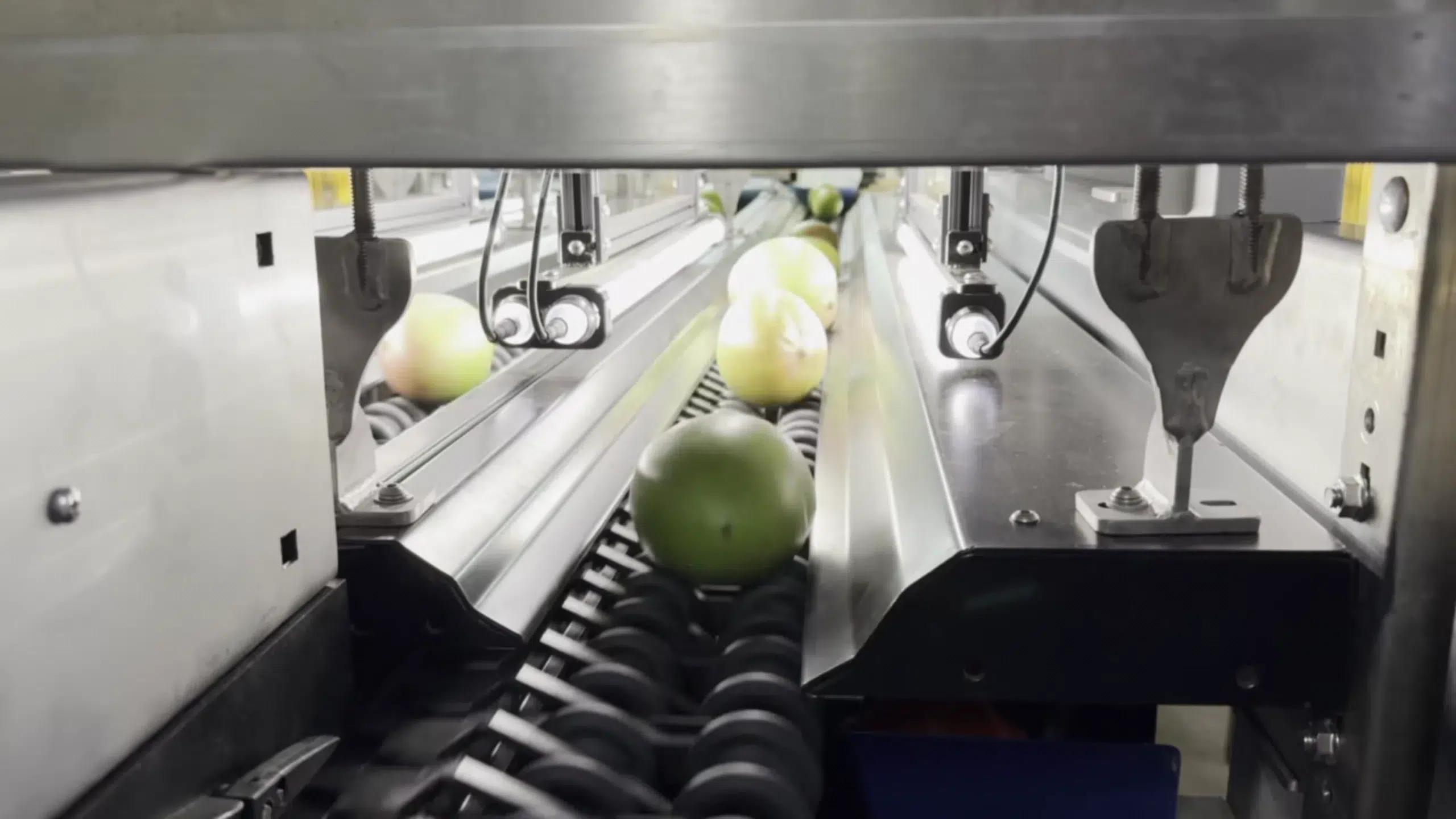 high-capacity optical sorter