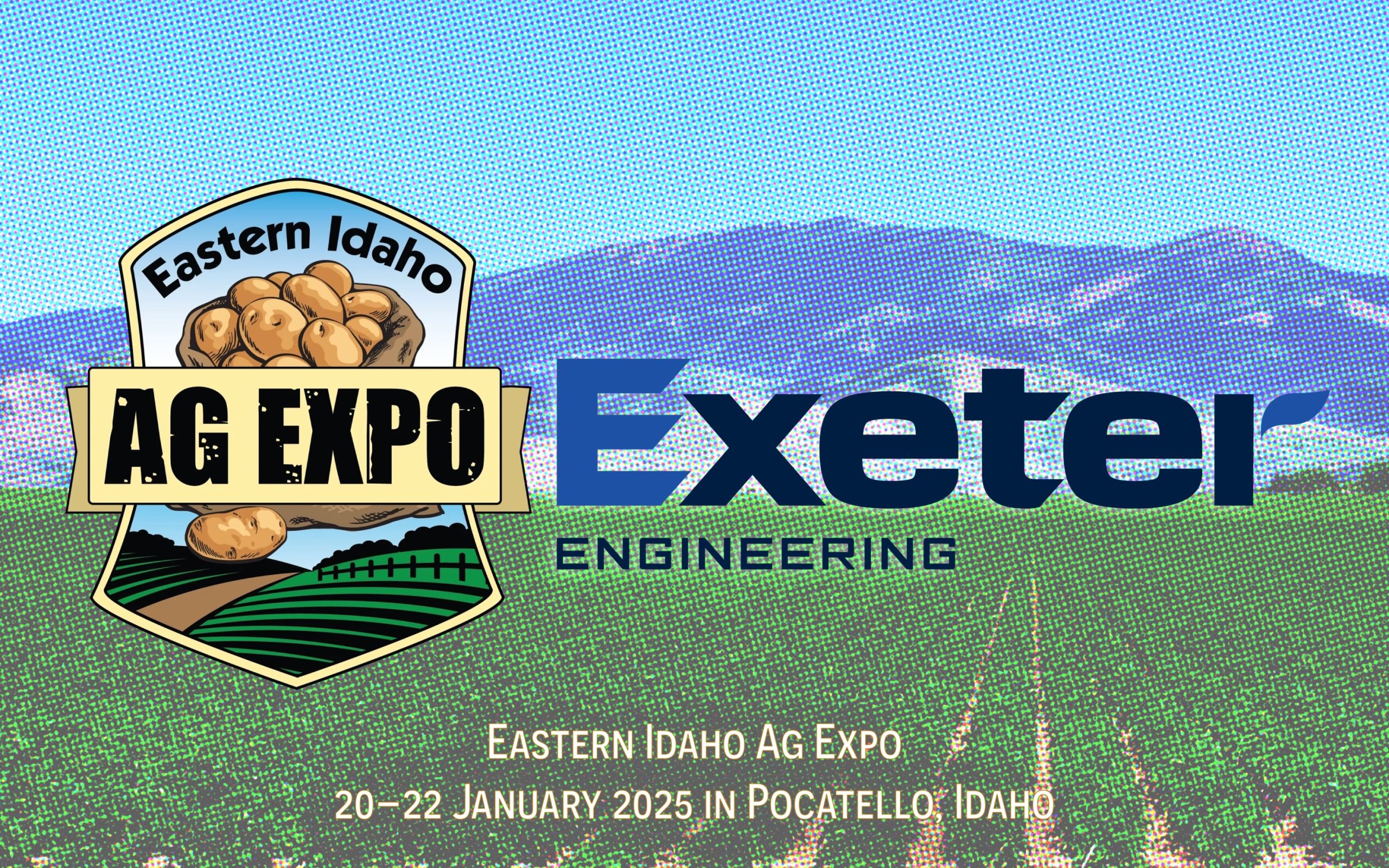 compact potato sorting machine